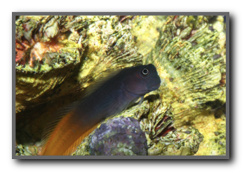 stacks_image_38E95A62-02FA-41E0-AB13-09B0C08A127A