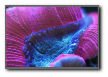 stacks_image_D68C6679-2077-4481-899B-CEF342BFA27B