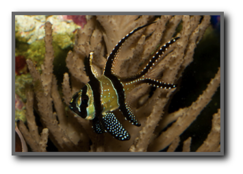 stacks_image_02E5BF72-3DD9-43FC-8FCC-874210AABCAA